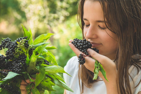 Elderberry For Babies and Kids – Is It Safe